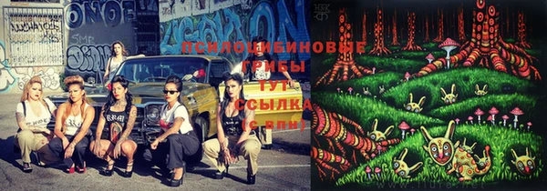 стафф Балахна