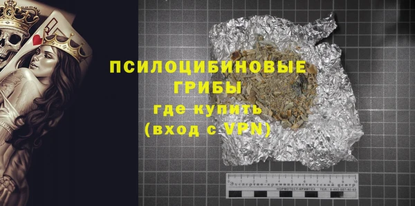 ГАЛЛЮЦИНОГЕННЫЕ ГРИБЫ Балабаново