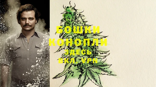 ГАЛЛЮЦИНОГЕННЫЕ ГРИБЫ Балабаново